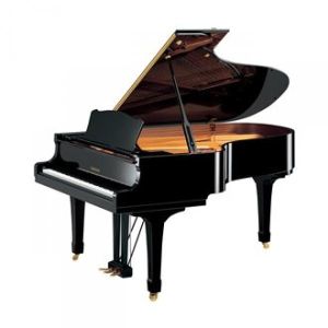ACUSTICI CODA