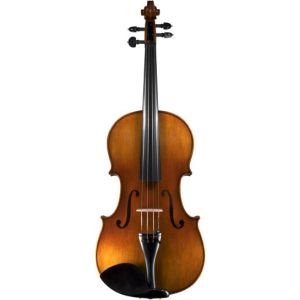 VIOLE