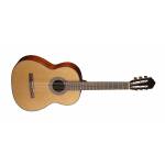 CORT AC200