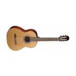 CORT AC 12