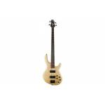 CORT Action DLX AS OPNN