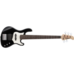 BASSO  CORT GB35A