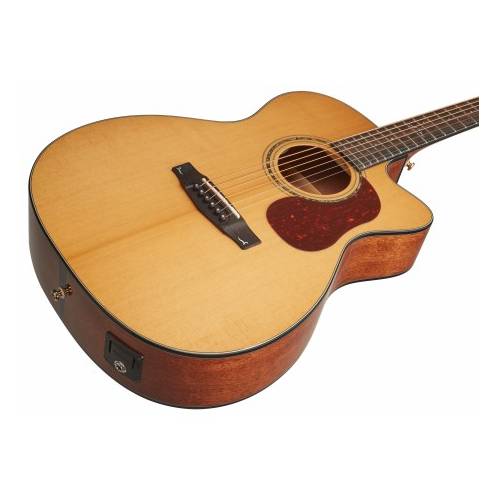 Chitarra acustica elettrificata CORT Gold OC6