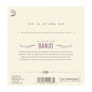 D'ADDARIO