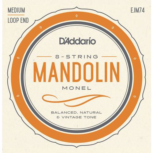  D'ADDARIO