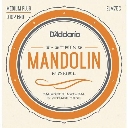  D'ADDARIO