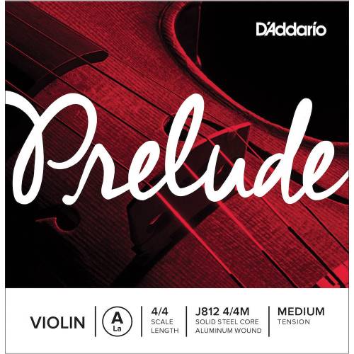  D'ADDARIO