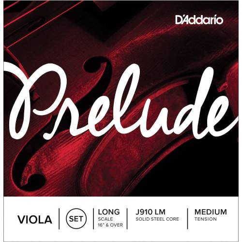  D'ADDARIO