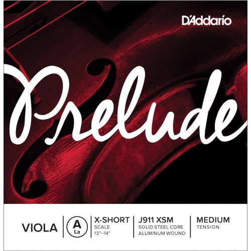  D'ADDARIO
