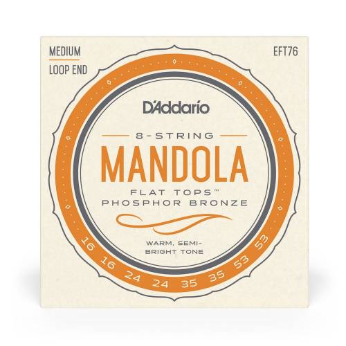 D'ADDARIO