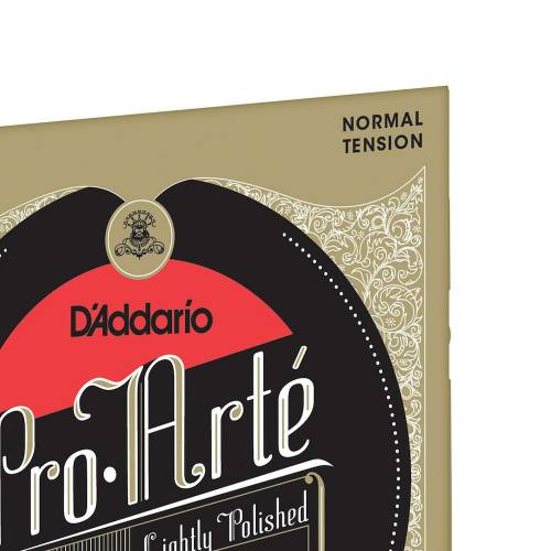  D'ADDARIO