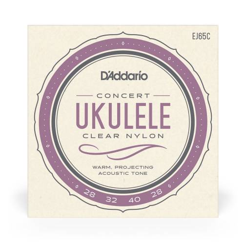  D'ADDARIO