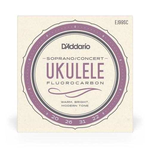  D'ADDARIO