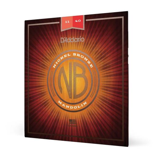  D'ADDARIO