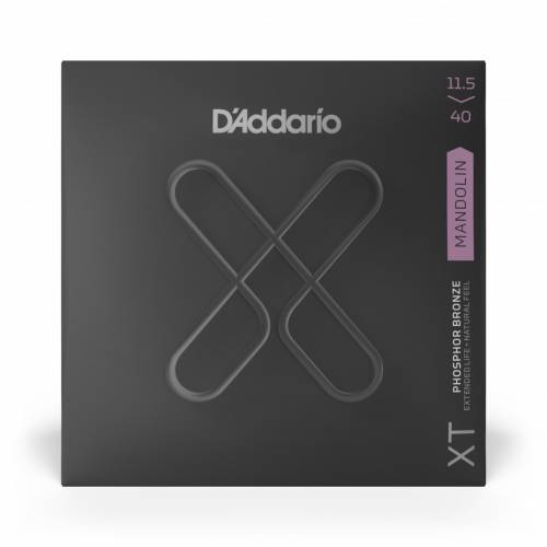 D'ADDARIO