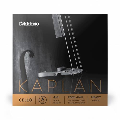 D'ADDARIO