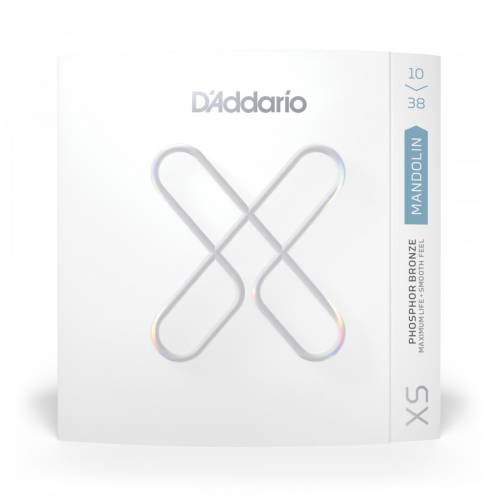  D'ADDARIO