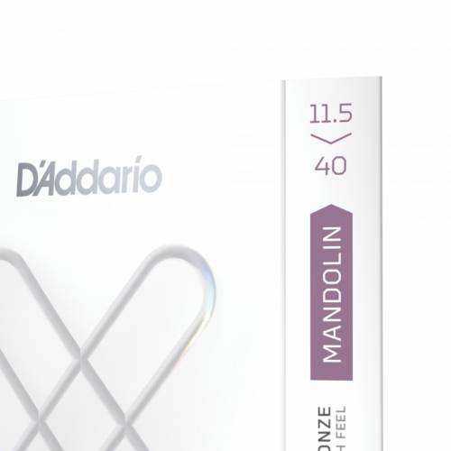  D'ADDARIO