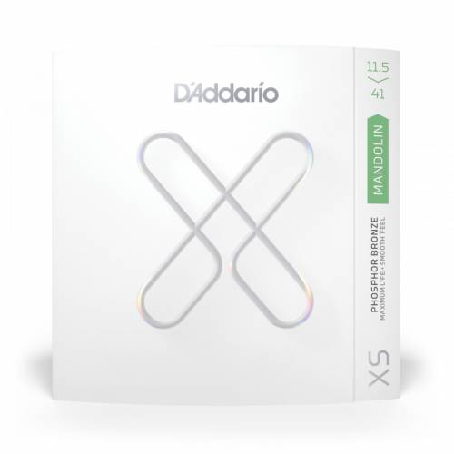  D'ADDARIO
