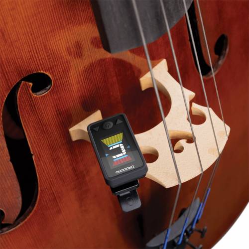 D'ADDARIO