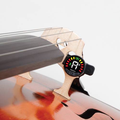  D'ADDARIO