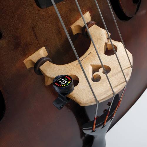  D'ADDARIO