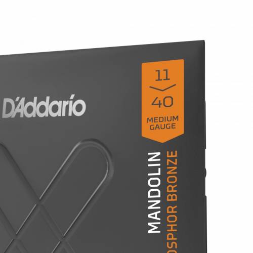  D'ADDARIO