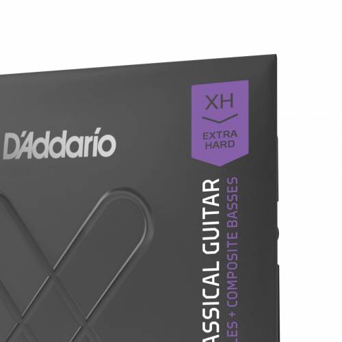  D'ADDARIO
