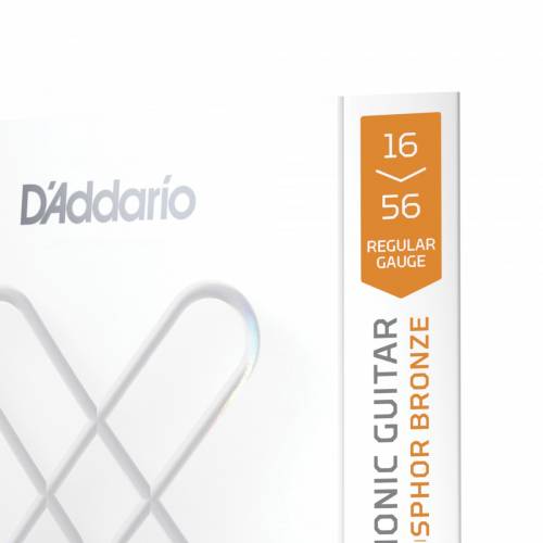 D'ADDARIO
