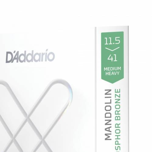  D'ADDARIO