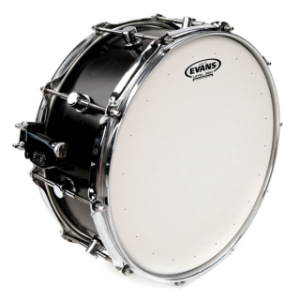 Pelle per batteria EVANS B13DRY Genera Dry 13"