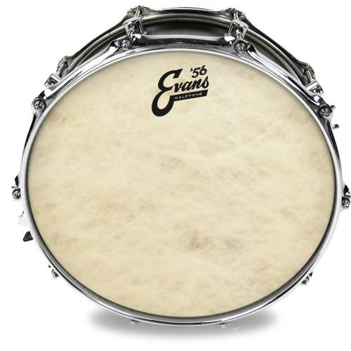 pelle per batteria EVANS Calftone 14"