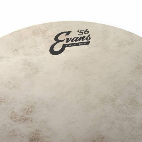 pelle per batteria EVANS Calftone 14"