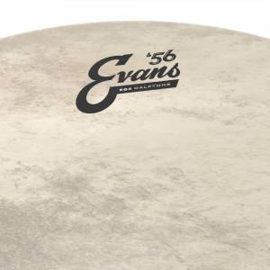 pelle per batteria EVANS Calftone Eq4 22