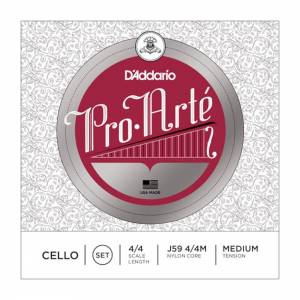 PELLE PER BATTERIA EVANS Gmad 22 clear