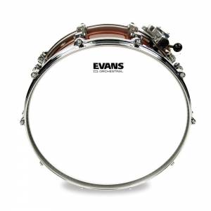  EVANS