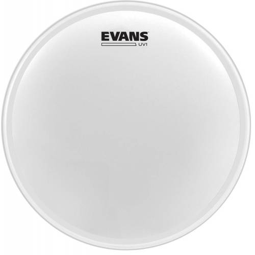  EVANS