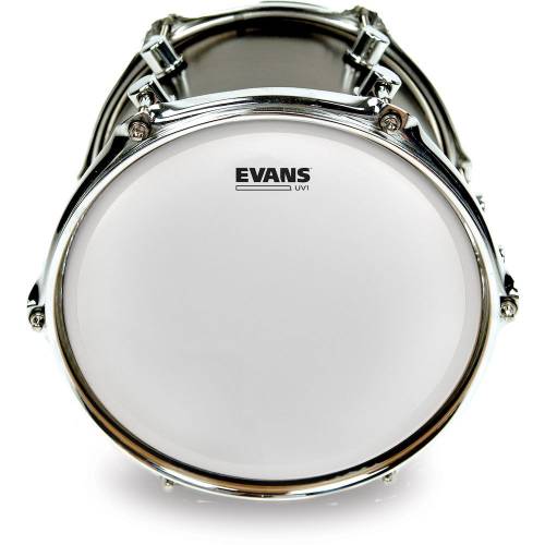  EVANS