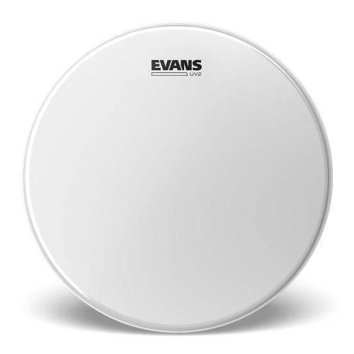  EVANS
