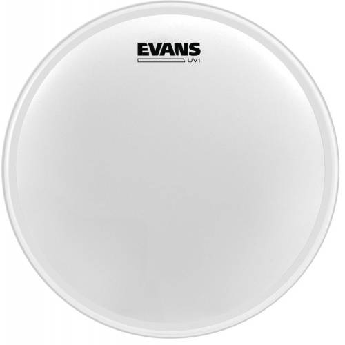  EVANS