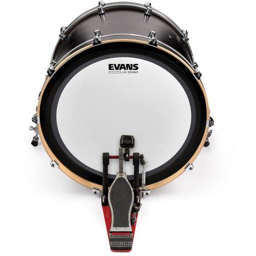  EVANS