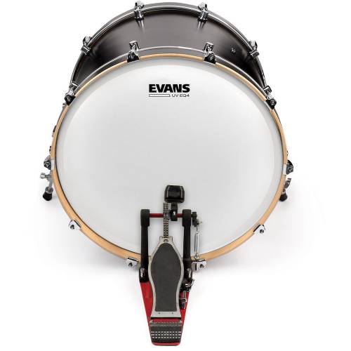  EVANS