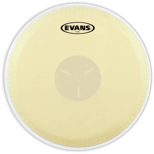  EVANS
