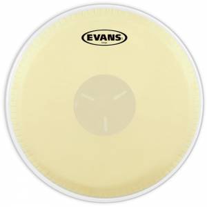  EVANS
