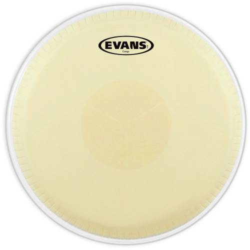  EVANS
