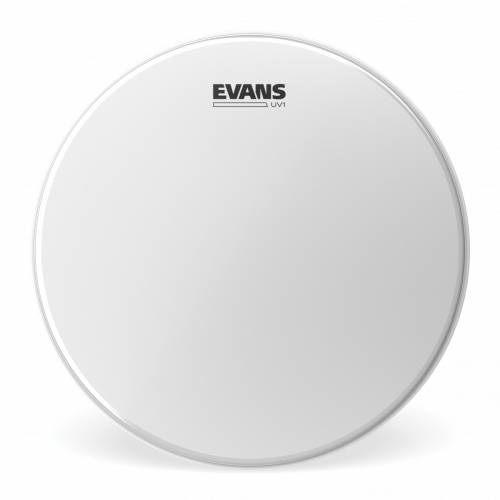  EVANS