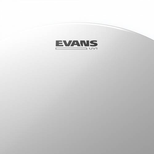  EVANS