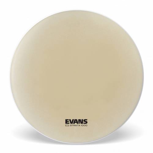  EVANS
