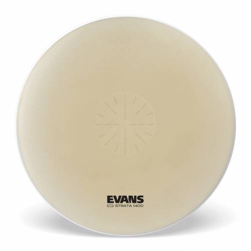  EVANS