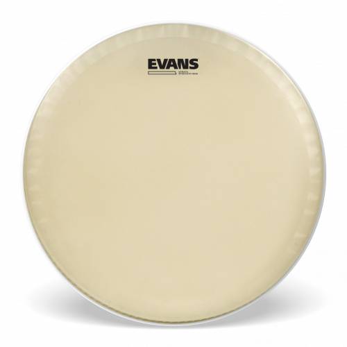  EVANS